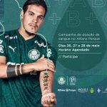 palmeiras doacao sangue verde e amarelo divulgacao palmeiras