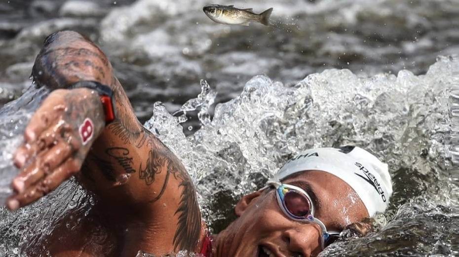 peixinho fugindo da nadadora brasileira Ana Marcela Cunha medalha de ouro na prova de maratona aquática em tóquio 2020