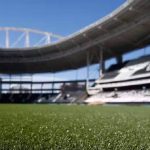 campo do estadio nilton santos